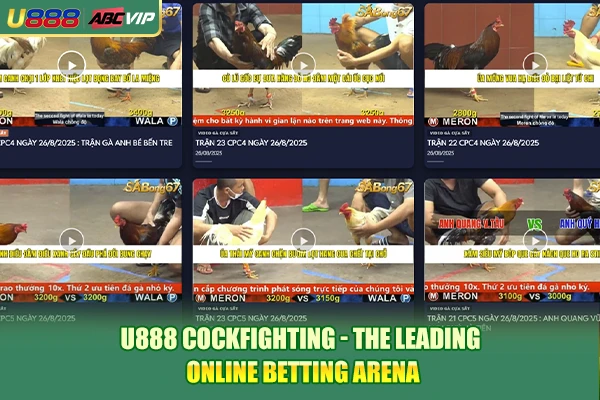 U888 Cockfighting - The Leading Online Betting Arena