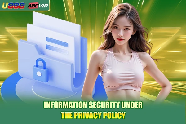 Information security under the privacy policy